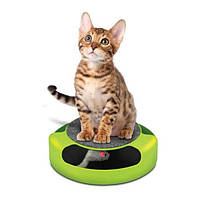 Інтерактивна іграшка для кішок Catch the Mouse