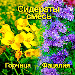 Суміш на сидерат - Гірчиця + Фацелія, від 1 кг (на вагу)