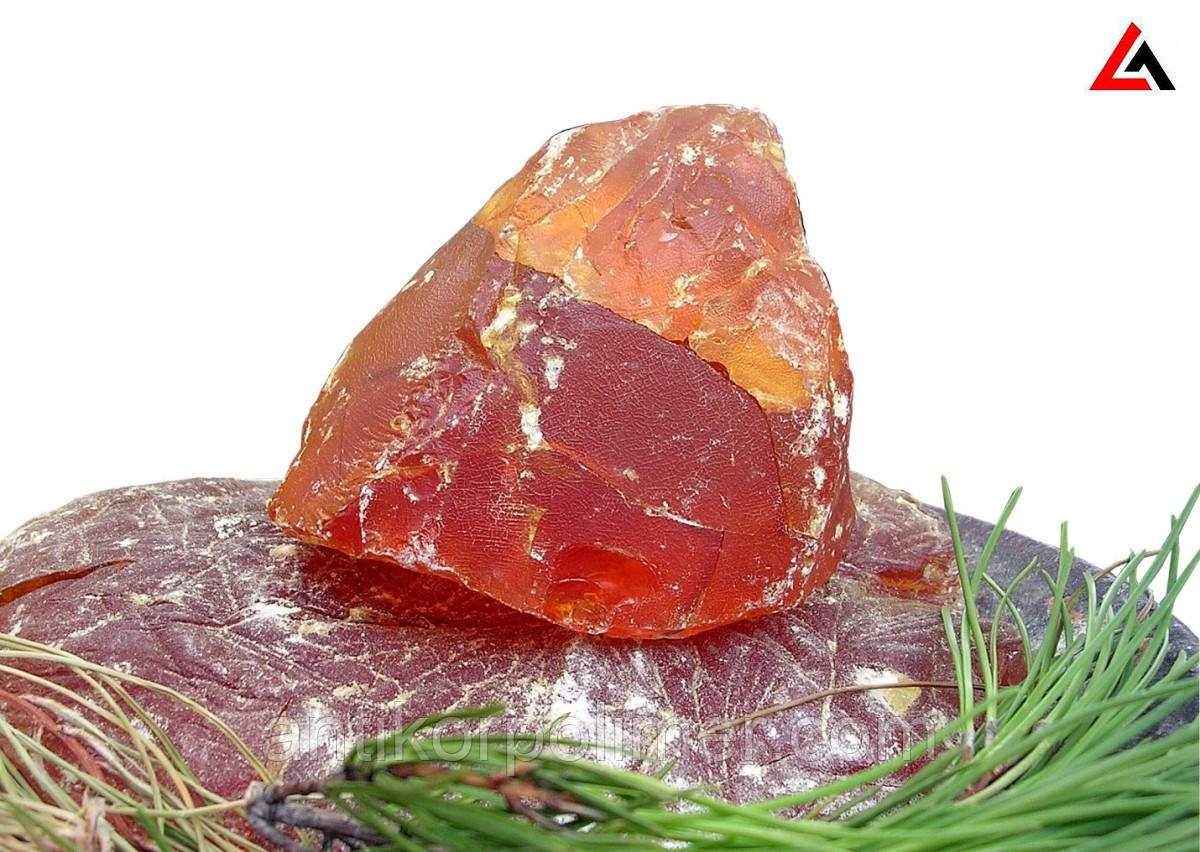 Каніфоль соснова живична (Португалія)