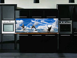 Кухонний фартух, скинали (наклейка, пвх-пластик, композит).