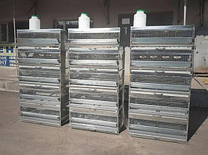 Клітка для перепелів