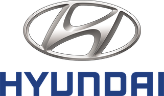 Бризковики Hyundai