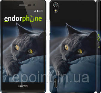 Чохол на Huawei Ascend P7 Димчастий кіт "825c-49", фото 1