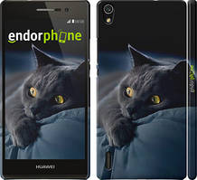 Чохол на Huawei Ascend P7 Димчастий кіт "825c-49"