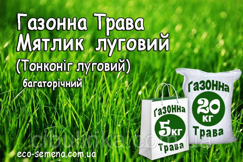 Насіння Газонне Трава М'ятка Лугова Україна 1 кг, фото 1