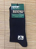 Шкарпетки чоловічі бавовна демісезонні Житомир пр-во Україна