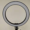 Кільцева світлодіодна лампа Ring Fill Light 26см зі штативом 50 см, фото 4