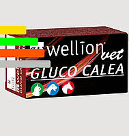Тест-полоски Wellion Vet Gluco Calea #50 - Глюко Калеа Веллион Вет