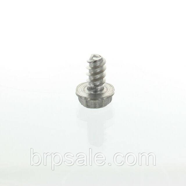 Гвинт Sea-Doo BRP Screw plastite *HEX. PLASTITE SCREW #10 X 3/8", фото 1