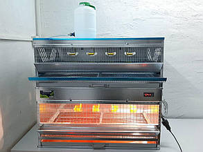 Брудер і клітка для перепелів