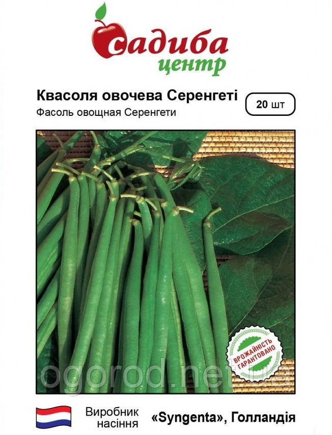 Серенгеті 20 шт насіння квасолі Syngenta Голландія