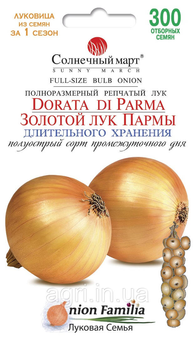 Цибуля Золота цибуля Парми, 300шт (до 11.2024р.)