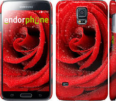 Чохол на Samsung Galaxy S5 g900h Червона троянда "529c-24"