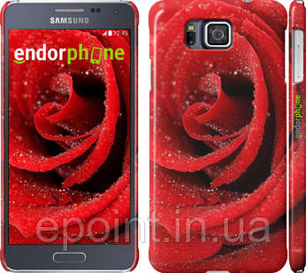 Чохол на Samsung Galaxy Alpha G850F Червона троянда "529c-65"