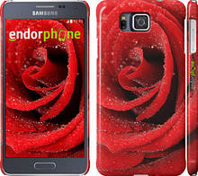 Чохол на Samsung Galaxy Alpha G850F Червона троянда "529c-65"
