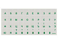 Наклейки на клавиатуру BRAIN green (STBRTRGREEN)