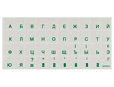 Наклейки на клавіатуру BRAIN green (STBRTRGREEN)