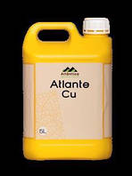 Добриво Атланті Мідь (Cu), 5л, Іспанія