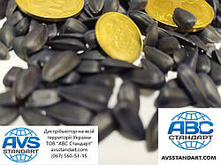 Топ продажів 2019 року. Насіння раннього соняшнику Олівер 105-110 днів. Врожайність гібрида Олівер 45-47 ц/га, олийность вище 52%, Реальна стійкість до вовчка вовчка шести рас A - F. Екстра фракція з вагою понад 10,5 кг
