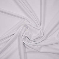 Кукурудза біла