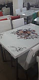 Розкладний стіл обідній кухонний комплект стіл і стільці 3D малюнок 3д "Контрастний букет" ДСП скло 70*110 Mobilgen 1014/189, фото 4