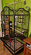 Велика клітка для папуги у вінтажному стилі Elegance, вольєр для папуг — 155 х 81 х 78 см, фото 10