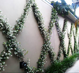 Саженцы піраканти Голден Чамер /Pyracantha 'Golden Charmer'/в конт 3л, фото 2