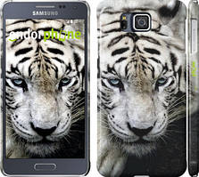 Чохол на Samsung Galaxy Alpha G850F Грустий білий тигр "106c-65"