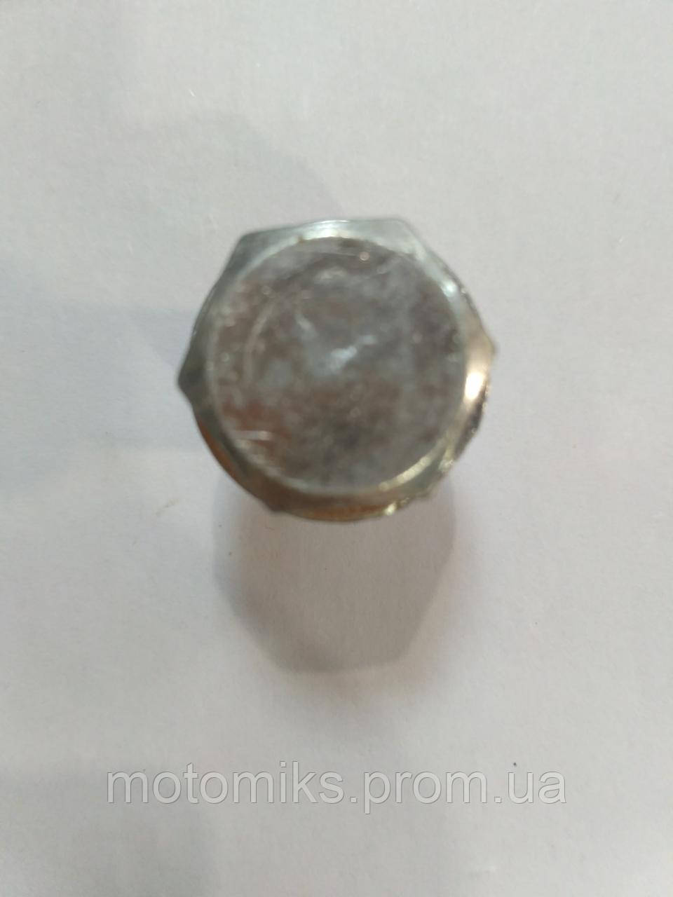 Купить Болт слива масла Delta, цена 30 грн — Prom.ua (ID#1107839407)