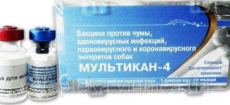 Вакцина Мультикан-4 1доза + розчинник