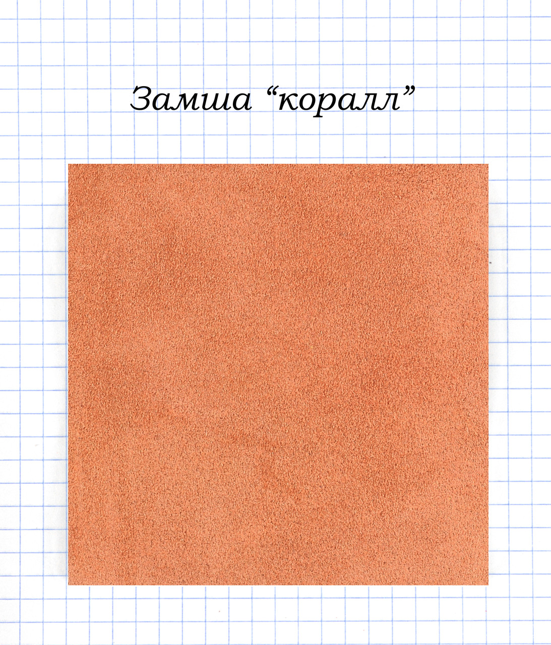 Замша "Корал"