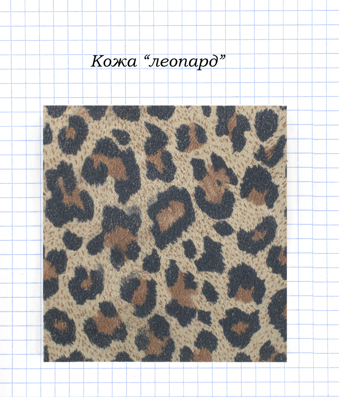 Шкіра "Леопард"