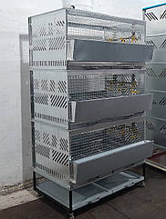 Клітка для бройлерів