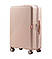 Валіза Wings WN01 Велика (L) Бежева + Кейс, фото 2