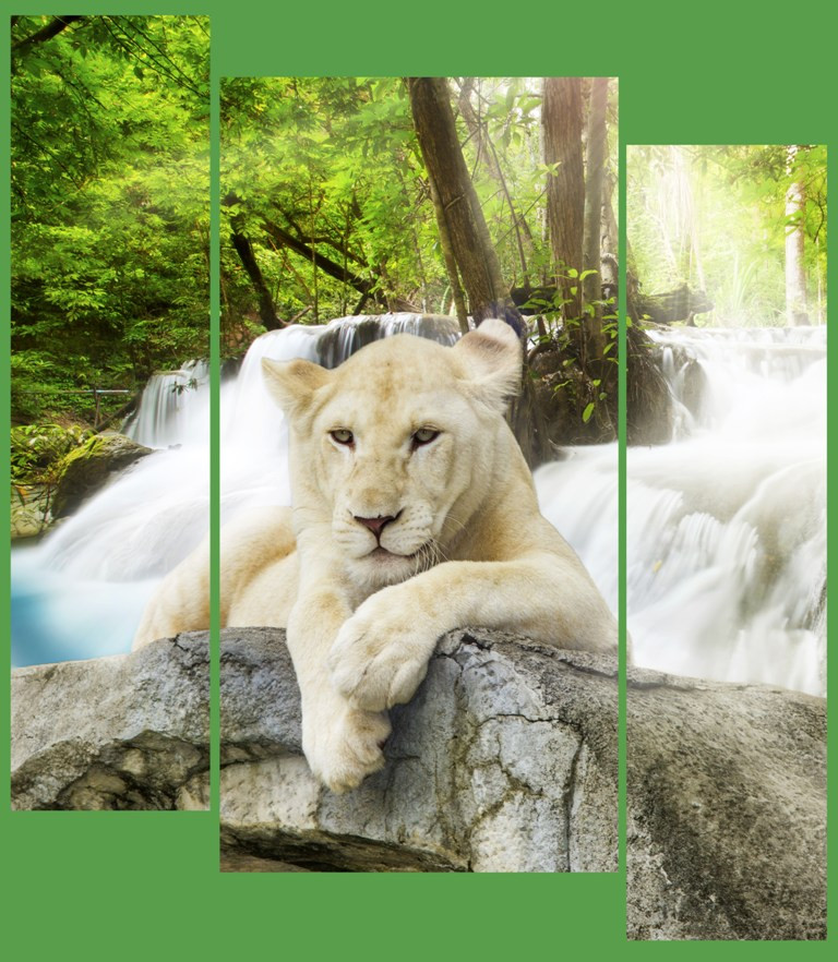 Модульна картина "Білий лев", фото 1