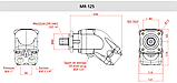 5056006 MR125 Аксіально-поршневий насос 125 л/хв, Bezares, фото 2