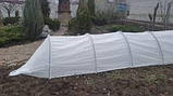 Мінітеплиця 12 м з агроволокна. 50 г/м2 щільність. 120см ширина. 80см висота. "Агро-Лидер", фото 2