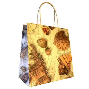 Подарунковий пакет № 36 "Мушлі" (215х220х110) крафт