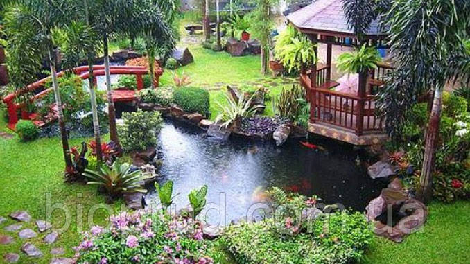 Струдик на дачу. (під ключ), фото 1