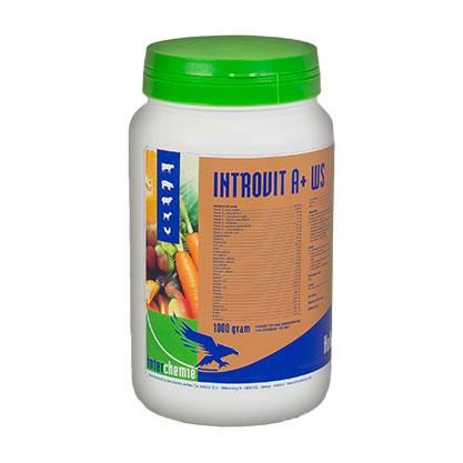Интровит А+ВП, 1 кг, водорастворимый комплекс витаминов, минералов и аминокислот для орального применения - фото 1 - id-p1108721590