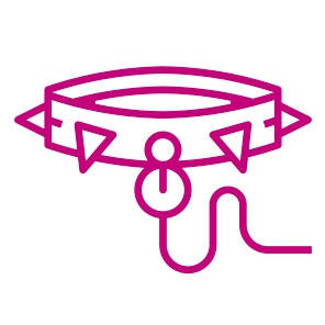 Нашийники і повідки