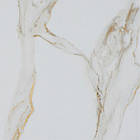 Плитка для підлоги Атем Сalacatta Gold 300*300