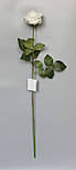 Штучна троянда-гілка, тканина, пластик, 64 см, білий (630096), фото 2