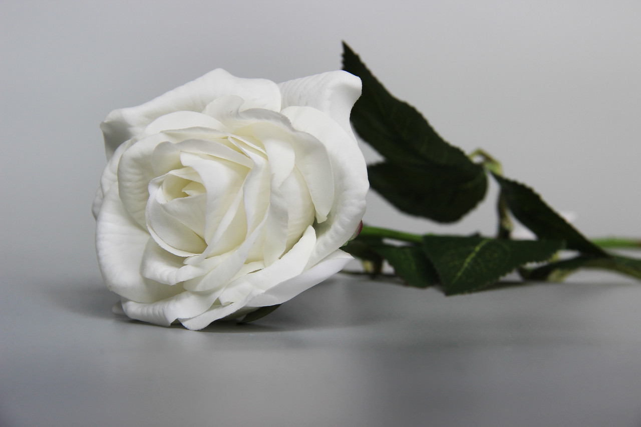 Штучна троянда-гілка, тканина, пластик, 64 см, білий (630096)