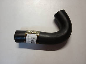 Патрубок радіатора верхній Богдан (8-97128675)