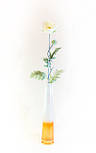 Штучна квітка Мак - гілка, тканина, пластик, 78 см, білий (630188), фото 6