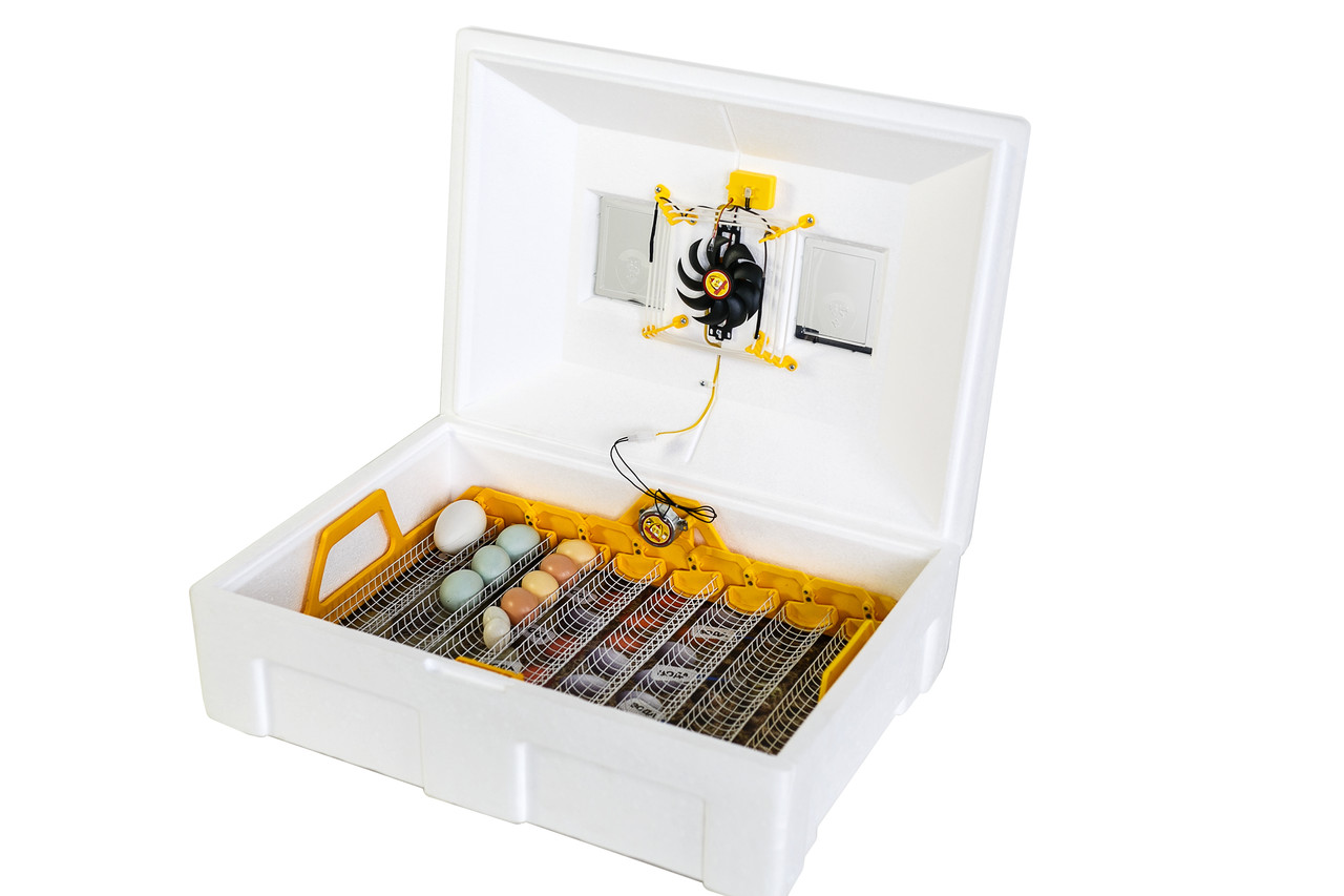 Інкубатор автоматичний Теплу Люкс-72 з вологоміром і ТЕНовим нагрівачем для всіх видів яєць, фото 1