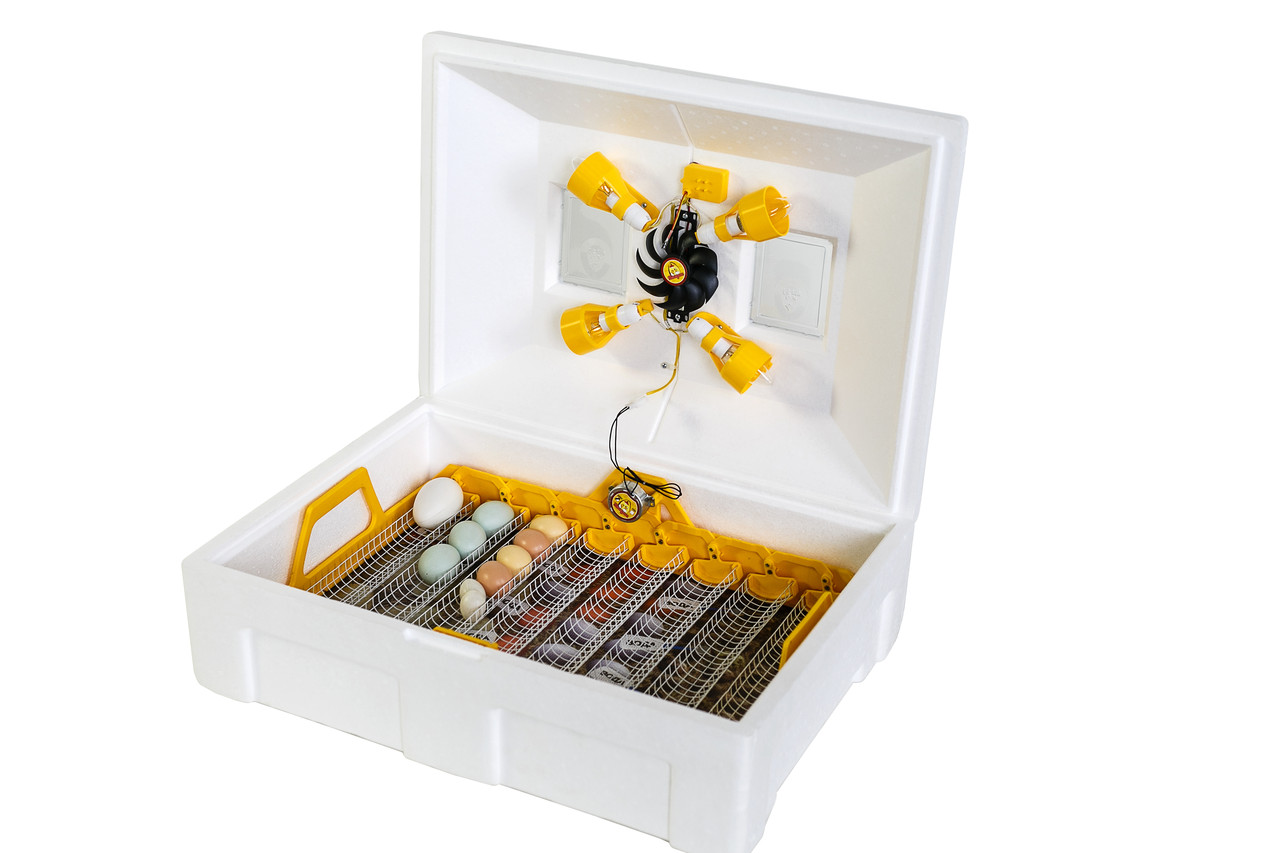Інкубатор Теплу Люкс-72 автоматичний із вологоміром для всіх видів яєць