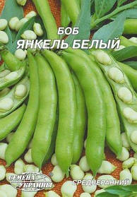 Біб Янкель Насіння України 20г кущовий