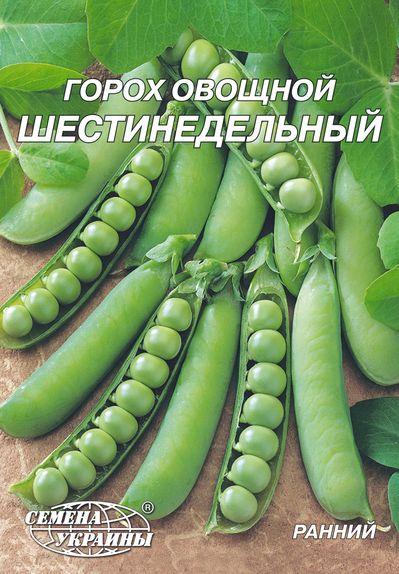Горох овочевий Шеститижневий 20г Насіння України, фото 1